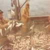 Crystal Star herring fishing 3 (Oct 92)