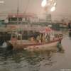MFV Francis-Kate loaded with herring in harbour (early 90's)